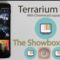 Ways to Download the Terrarium TV App on Smartphone